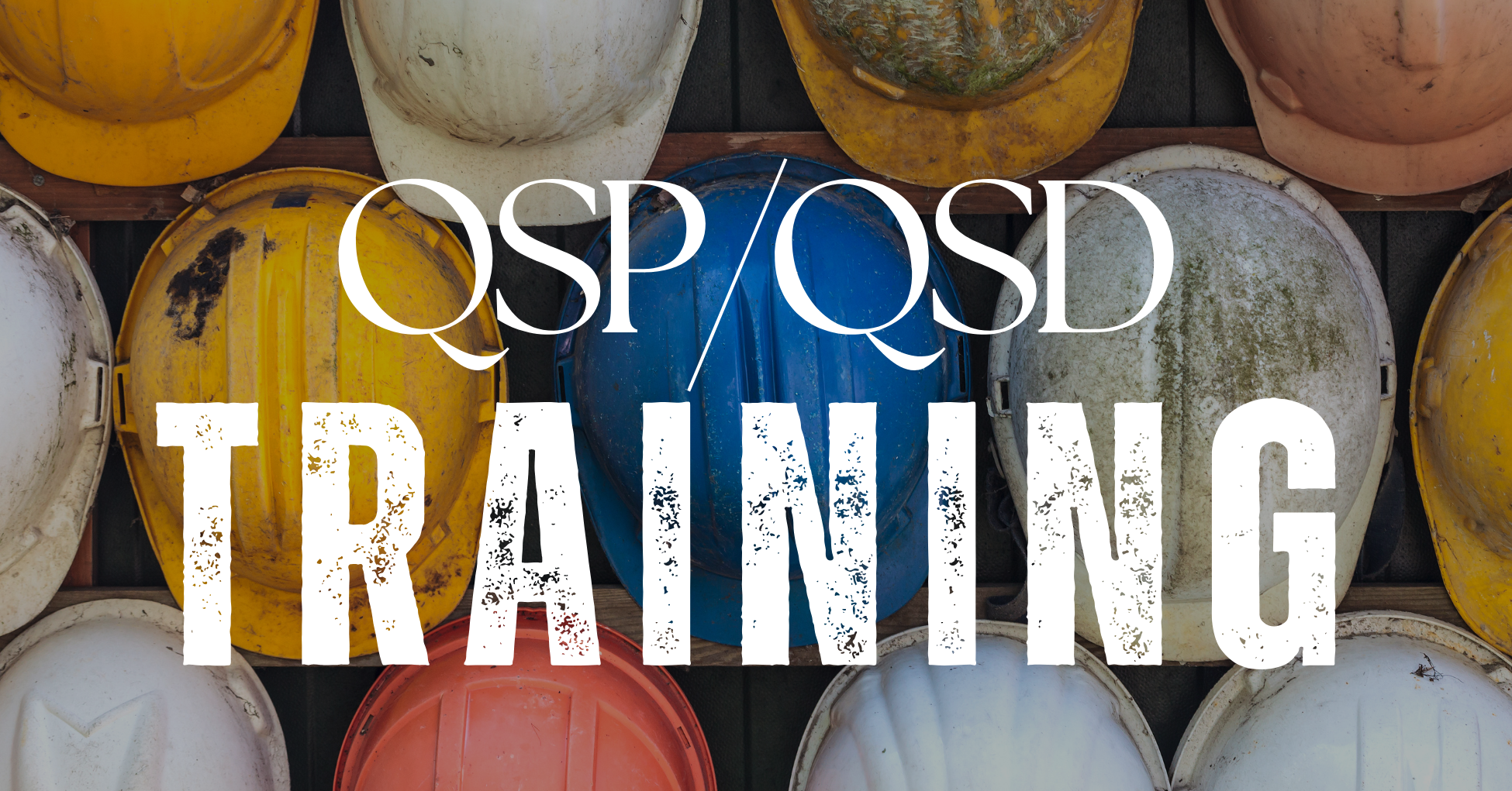 QSP/QSD  Training – April 2025